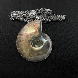 アンモナイト アクセサリー のおすすめ人気通販 検索結果｜Creema