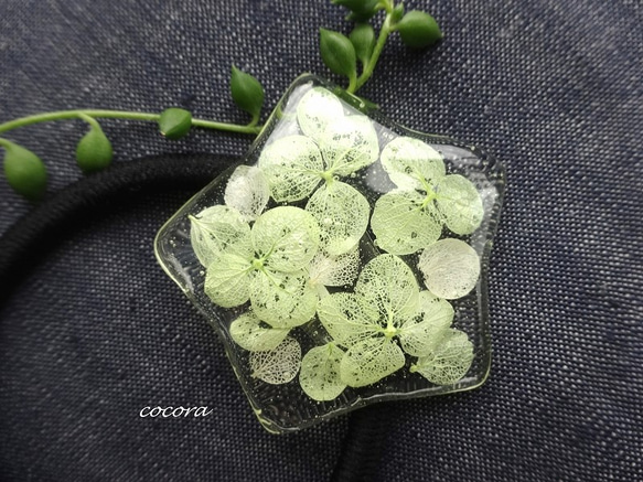 綠色繡球花星毛橡膠H016 第2張的照片