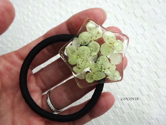 綠色繡球花星毛橡膠H016 第3張的照片
