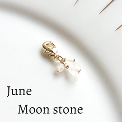 誕生石のマスクチャーム　6月　ムーンストーン【Moon stone】 1枚目の画像
