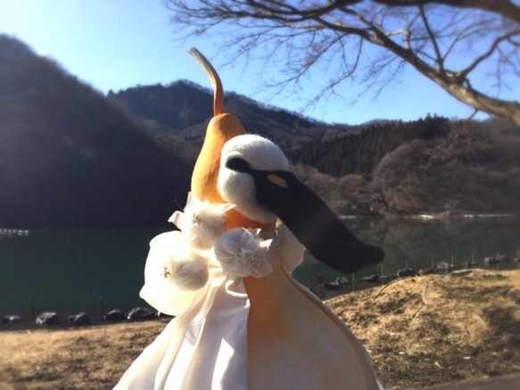 白鳥＋ひょうたん＝はくちょうたん 2枚目の画像