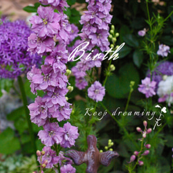 庭を愛する人へのトート「深紫のデルフィニウム 」詰めこむほどにシルエットが綺麗です。 4枚目の画像