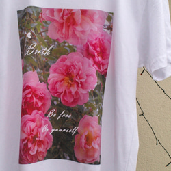 アプリコットカラーのローズ 写真プリントTシャツ BirthJardinシリーズ「ローズ・アプリコット」マタニティにも。 2枚目の画像