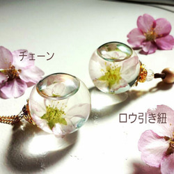 本物の桜を使ったペンダント -Seme delle quattro stagioni- 桜雨 4枚目の画像