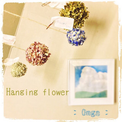 << Hanging flower >> 1枚目の画像