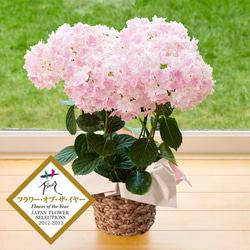 送料無料 島根県オリジナルあじさい万華鏡 希少ピンク アートフラワー