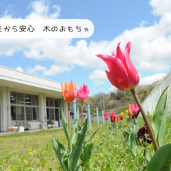 木のおもちゃ｜ころり動物 9枚目の画像