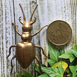 アンティーク メタルの昆虫モチーフ　3 5枚目の画像