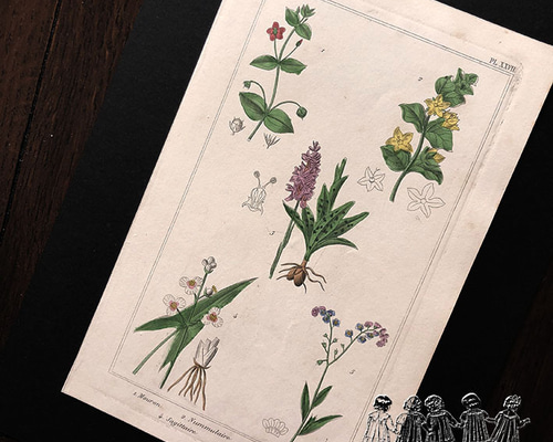 0_97ed0ddefdb82dda53c3cd2ad32e