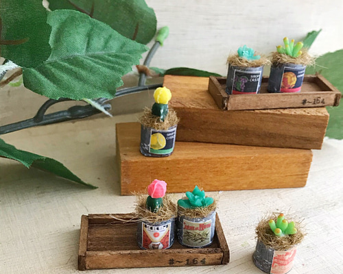 ミニチュア多肉植物 ミニチュア ナチュラル雑貨 インテリア その他