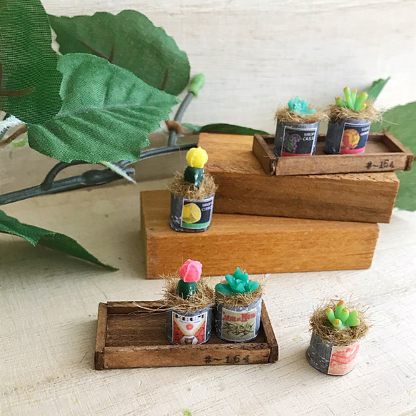 かぎ編み ハンドメイド 多肉植物の寄せ植え インテリア ナチュラル雑貨 234878fc619ec44116ca5fbba3759f