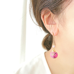 繡球耳環/穿孔（粉紅色） 第5張的照片