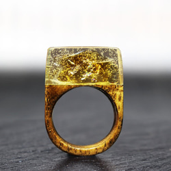 【送料無料】Fortune Citrin ～Resin Wood Ring～ 1枚目の画像