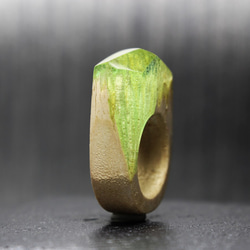 【現品限り 送料無料】Grassland Mountain～Resin Wood Ring～ 2枚目の画像