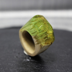 【現品限り 送料無料】Grassland Mountain～Resin Wood Ring～ 3枚目の画像