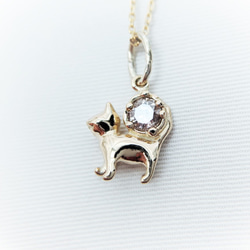 &lt;Ci-Pu&gt; [出售] 貓項鍊攜帶鑽石 第8張的照片