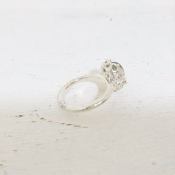 【銷售】&lt;Ci-Pu&gt; Cat環支撐花園石英R60 第9張的照片