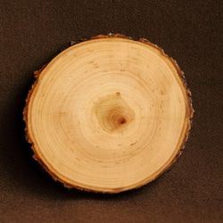野趣あふれる木製コースター２枚セット（サクラ・４L） 2枚目の画像