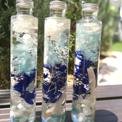 再販♡SEA ハーバリウム 1枚目の画像