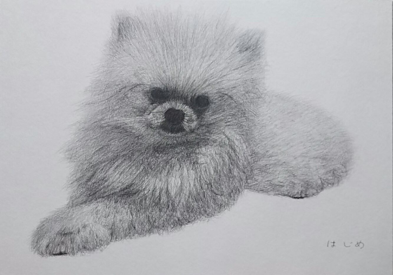 現代アート デッサン画　モノクロデッサン インテリア StripeBady