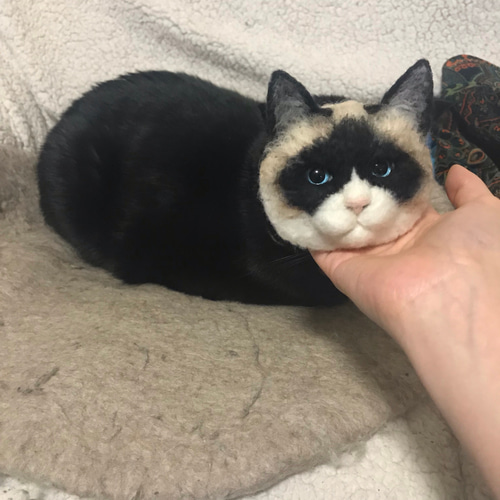 オーダーメイド】かべねこミニ 羊毛フェルトでつくる猫（よくお