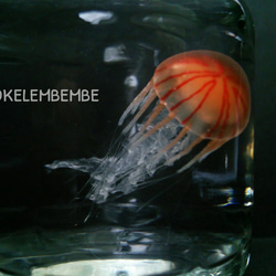 Fake Jellyfish△アカクラゲ【改良版】 5枚目の画像