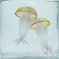 Fake Jellyfish△ムラサキクラゲ【改良版】 4枚目の画像
