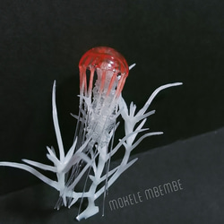 Fake Jellyfish -Coral- 2枚目の画像