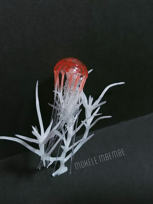 Fake Jellyfish -Coral- 2枚目の画像