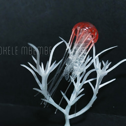 Fake Jellyfish -Coral- 3枚目の画像