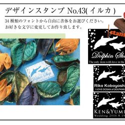 イルカのデザインスタンプ（No.43） 1枚目の画像