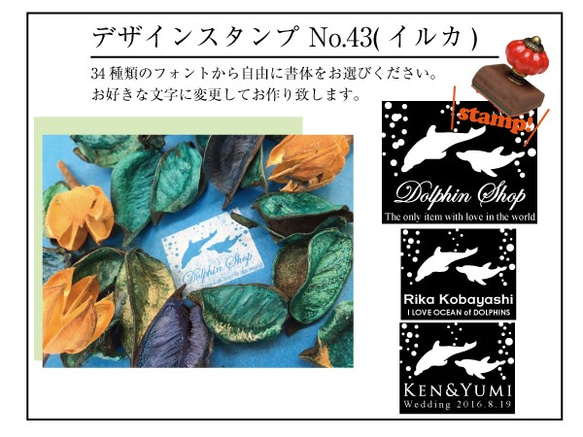 イルカのデザインスタンプ（No.43） 1枚目の画像