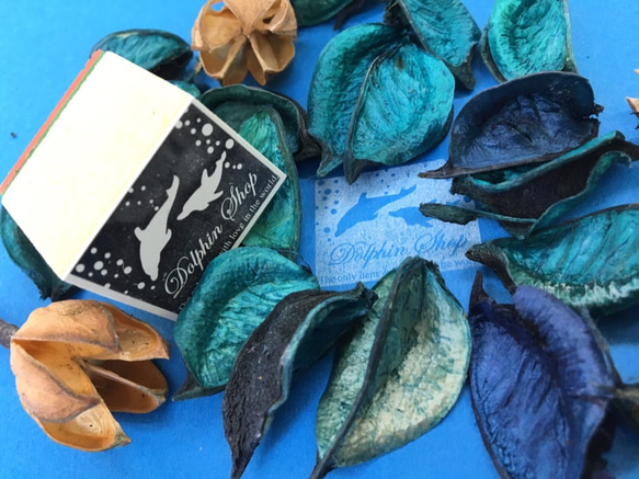 イルカのデザインスタンプ（No.43） 2枚目の画像