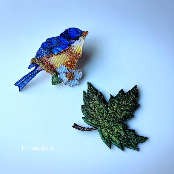 幸運の青い鳥と楓（メープル） 2枚目の画像