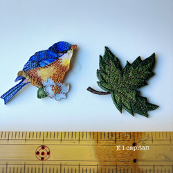 幸運の青い鳥と楓（メープル） 4枚目の画像