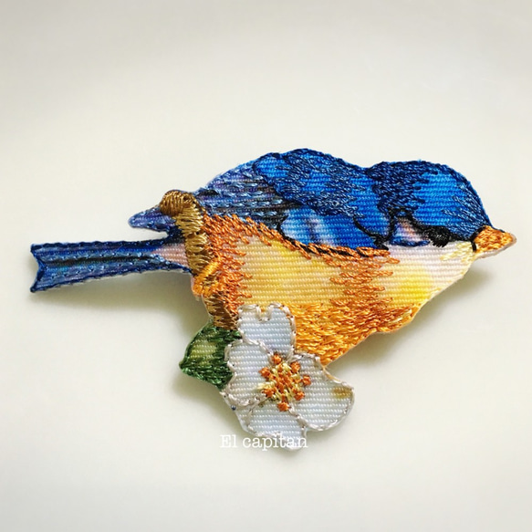幸運の青い鳥と楓（メープル） 3枚目の画像