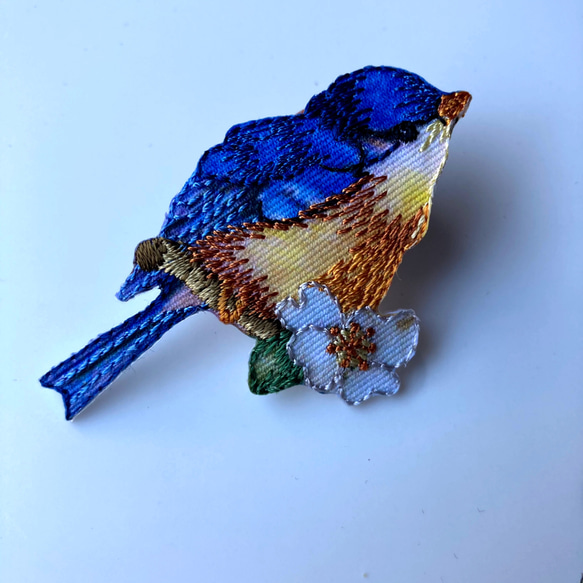 幸運の青い鳥と楓（メープル） 6枚目の画像