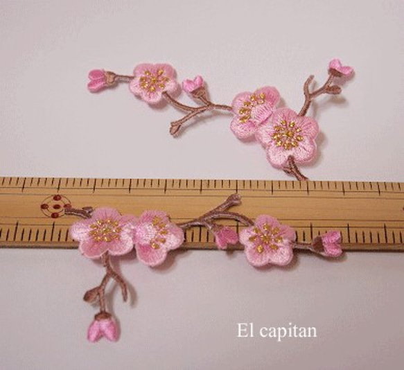 再7・春の桜色の花：2P 4枚目の画像