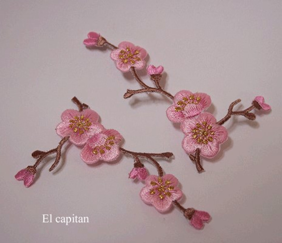 再7・春の桜色の花：2P 5枚目の画像