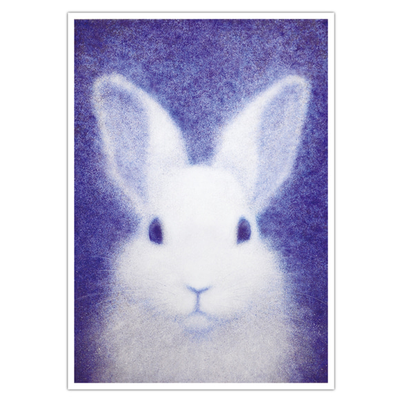 【 販売終了 】A4ポスター【 ウサギ 】 2枚目の画像