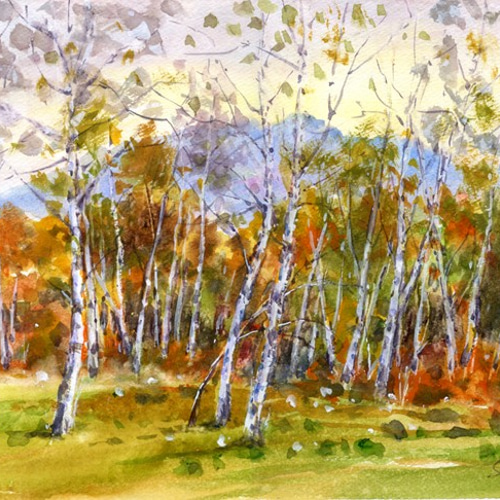 水彩画原画　秋の妙高高原　＃478 水彩画原画 秋の妙高高原 ＃478 絵画 syoumei 通販 12960780