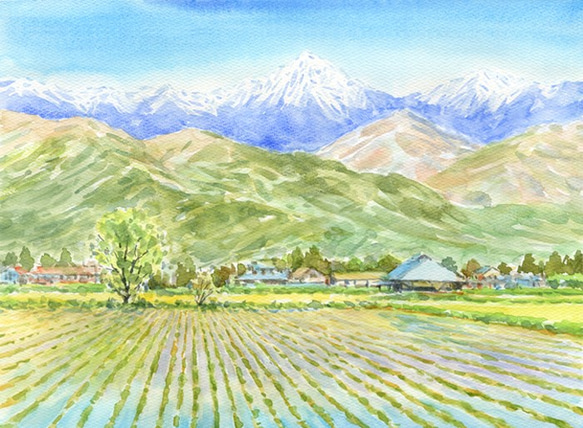 水彩画 安曇野の春・常念岳 絵画 syoumei 通販 4082568｜Creema