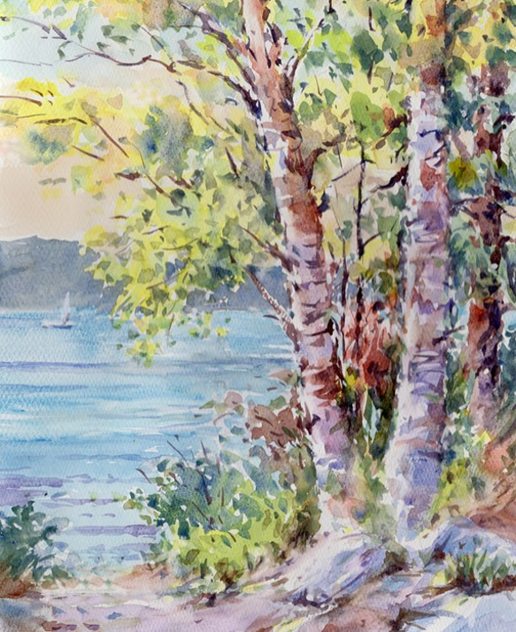 注文制作します 水彩画原画 白樺の湖畔15（＃389) 絵画 syoumei 通販