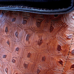 Real leather backpack/Embossing leather/Turtle pattern 第3張的照片