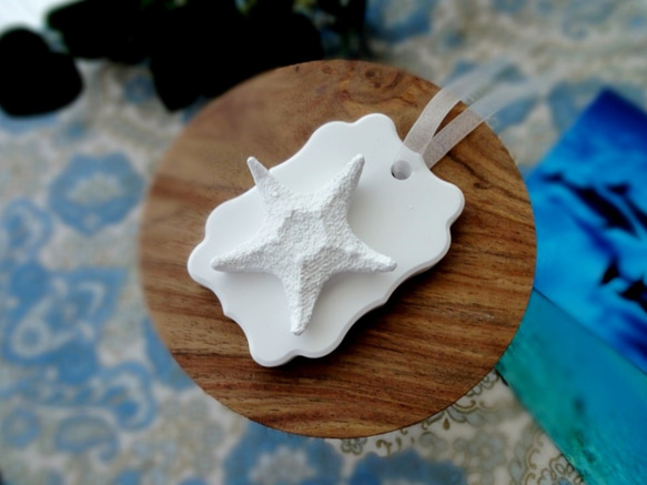 白い博物館 ■ アロマストーン ■ 貝殻標本 コブヒトデ 2枚目の画像