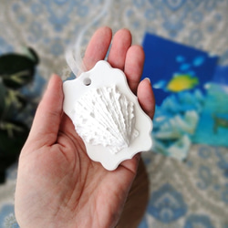 白い博物館 ■ アロマストーン ■ 貝殻標本 ウミギク 4枚目の画像