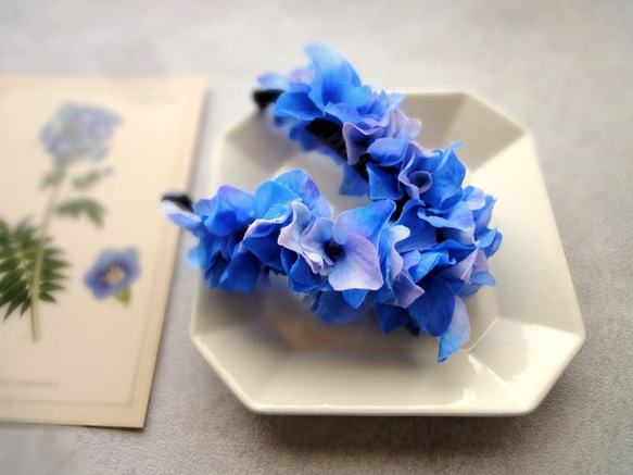 紫陽花のバナナクリップ ■ 水彩画トーン 紫陽花 ■ブルー 3枚目の画像
