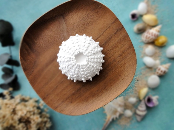 アロマストーン □ 海の生き物 ラッパウニ □ 6種類から香りが選べる