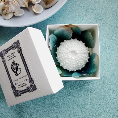 アロマストーン □ 海の生き物 ラッパウニ □ 6種類から香りが選べる