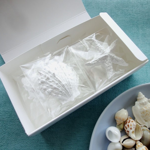 アロマストーンOceanセット セット販売】アロマストーン □ 海の宝珠 貝殻・ヒトデ 7点 □6種類